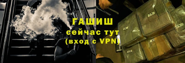 гашик Алексин