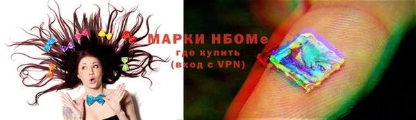гашик Алексин