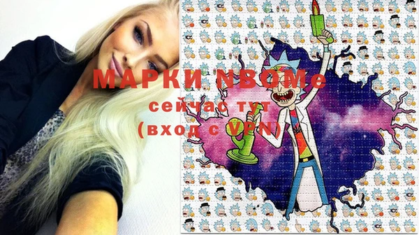 гашик Алексин