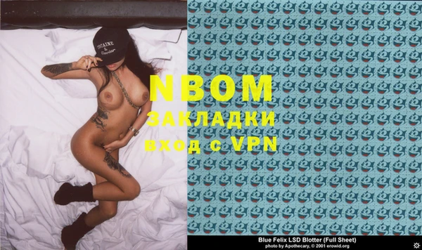 гашик Алексин