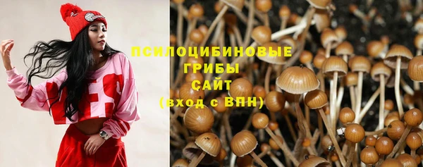 гашик Алексин