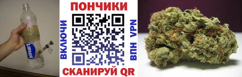 Конопля THC 21%  МЕГА как зайти  Сясьстрой 